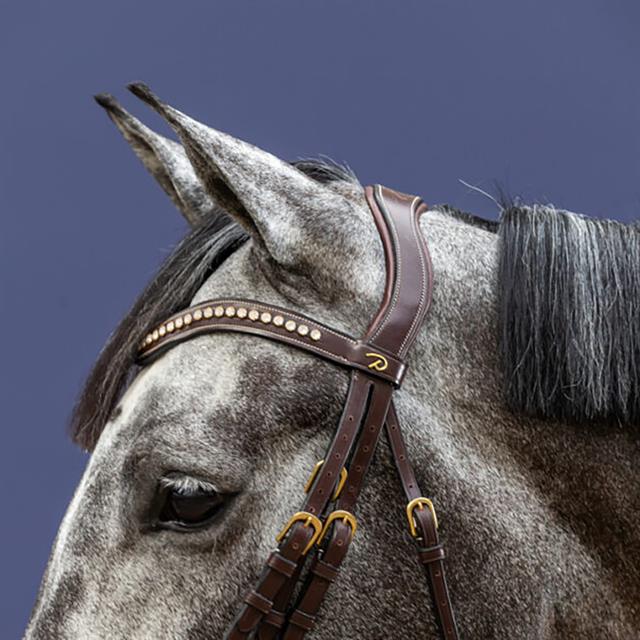 Frontal courbé Swarovski Blanc D Collect  Dy'on Marron